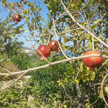 Appartement Peristeri *