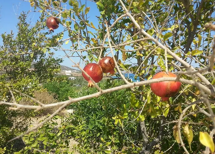 Lägenhet Peristeri *